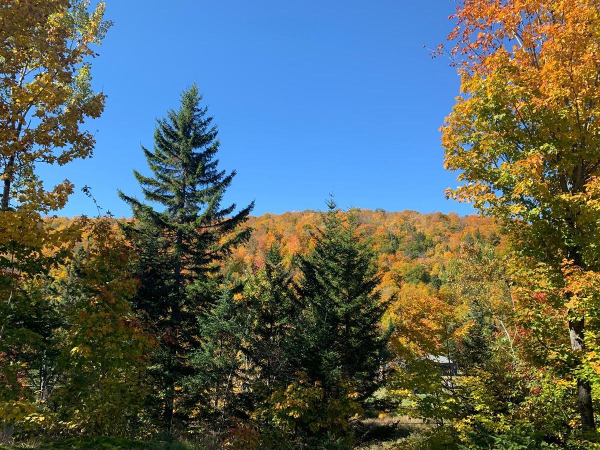 Lodge Nature Laurentides Val-des-Lacs Exterior foto