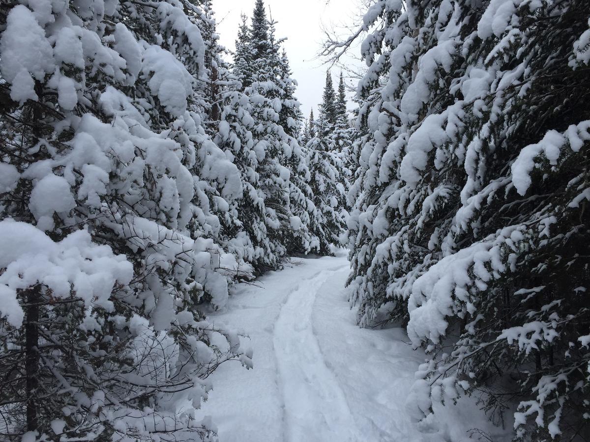 Lodge Nature Laurentides Val-des-Lacs Exterior foto