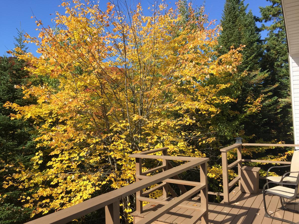 Lodge Nature Laurentides Val-des-Lacs Exterior foto